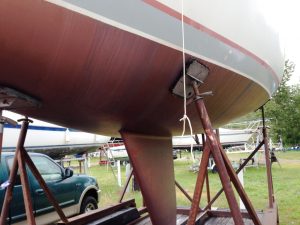 Bottom july 2014 6