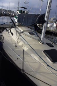 IMGP9446