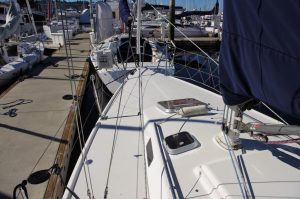 IMGP2463