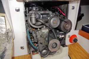 IMGP2482