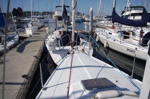 IMGP3585