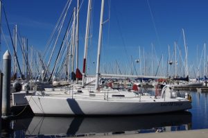 IMGP3971