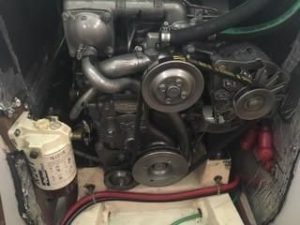 6849559_20180928074352575_1_XLARGE