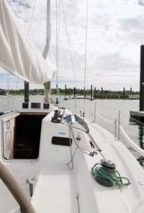 6849559_20180928074355156_1_XLARGE