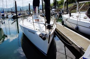 IMGP4582